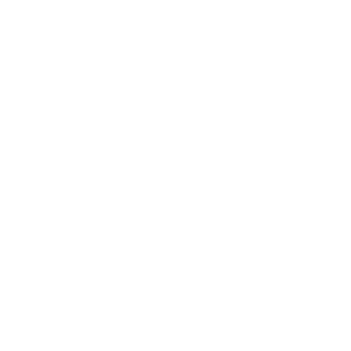 Experienced technicians